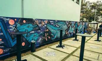 Imagem 5: Vendo bar e restaurante funcionando