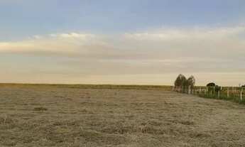 Imagem 2: Chácara Sitio - Lugar lindo com fácil acesso - oportunidade única