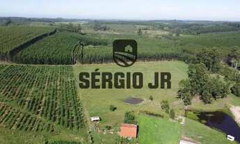 Imagem 3: Sítio com 2,2h, galpão e açude em Triunfo