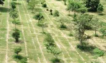 Imagem 5: Terreno à venda, 500 m² por R$ 417.500,00 - Condomínio Residencial Ecopark - Caçapava/SP