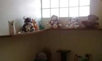 Imagem 5: CASA CIPAVA Casa com 1 dormitório