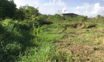 Imagem 4: Vendo Terreno em Tiuma/ São Lourenço da Mata