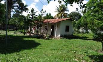 Imagem 5: Vende-se chácara