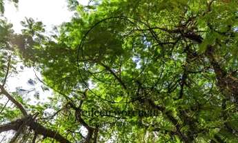 Imagem: Casa Residencial e Comercial Rua Faro