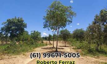 Imagem 3: Chácara Rio Verde Padre Bernardo C/Casa ,