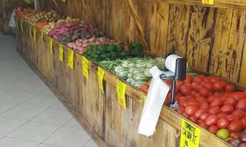 Imagem 7: Vendo Hortifruti