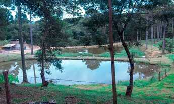 Imagem 3: Vendo area de 20.000 mil metros quadrado