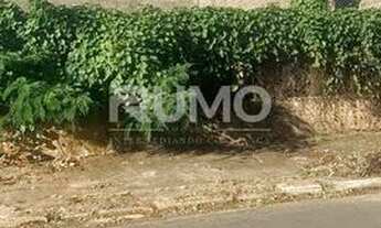 Imagem 2: Terreno - Jardim das Paineiras - Campinas
