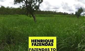 Imagem: Fazenda região de Novo Acordo 127 alqueires
