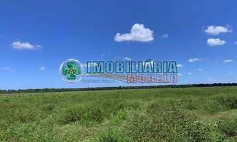 Imagem 7: Fazenda à venda, 4 quartos, Zona Rural - Santana do Araguaia/PA