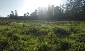 Imagem 6: Áreas de terra para plantio