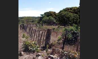 Imagem 4: Fazenda de 30 Alqueires- Colinas do Sul/Goiás