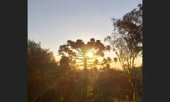 Imagem: Sítio em Urubici/Área rural em Urubici/