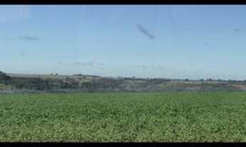 Imagem 5: Excelente fazenda com 4 pivôs