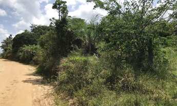 Imagem: Vendo fazenda com 280 ta em Santa Luzia