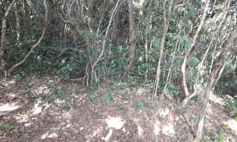 Imagem 6: Sitio 6 Hectares Desterro de Entre Rios