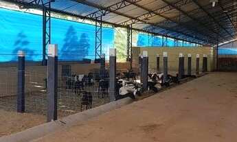 Imagem 4: Fazenda com 3 dormitórios à venda, 75000 m² por R$ 5.200.000,00 - Zona Rural - São Gonçalo