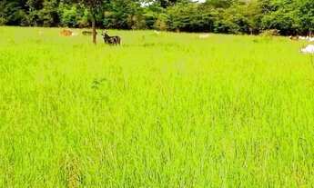 Imagem 3: Vende-se uma fazenda de 143 hectares