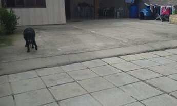 Imagem 6: Casa ampla bem iluminada com closet pátio grande na frente