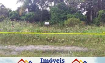 Imagem 2: Vendo lote em avenida na Praia do Ervino