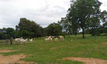 Imagem 6: Oportunidade! Vende-se uma fazenda de 430 hectares