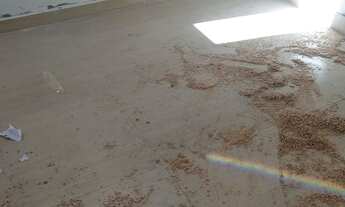 Imagem 4: Casa Santos Dumont 3 quartos sendo 1 suite