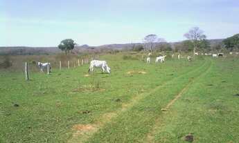 Imagem 4: Oportunidade! Vende-se uma excelente fazenda 306 Alqueires