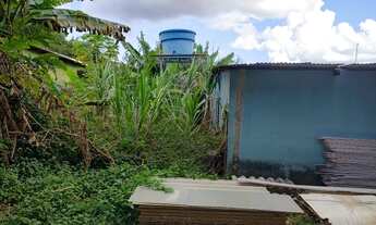 Imagem 7: Vendo troco excelente lote 1200 metros no cond.palmeiras