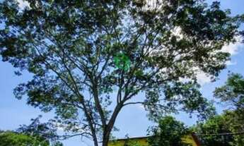 Imagem 6: Fazenda em Ipameri - GO