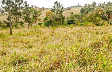 Imagem 4: Terreno para Venda em Jarinu, Bairro Figueira Branca