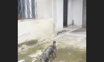 Imagem 4: Vendo 3 Casas Vila Ieda 2 400m² de terreno