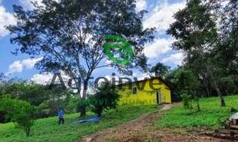 Imagem 3: Fazenda em Ipameri - GO