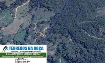 Imagem 2: Sitio em Conceição do Para/MG, 5 hectares as margens do Rio Para