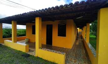 Imagem 3: Sítio com Sete tarefas e meia na matinha