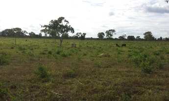 Imagem 2: Oportunidade! Vende-se uma fazenda de 430 hectares