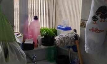 Imagem 7: Venda 2 qts santa rosa