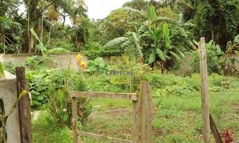 Imagem 3: FLORIANóPOLIS - Casa Padrão - Rio Tavares