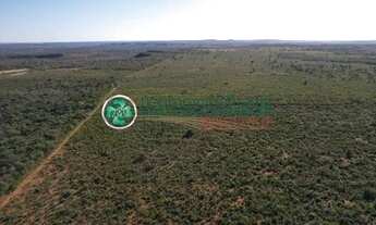Imagem 3: Fazenda à venda, 4 quartos, Zona Rural - Bom Jesus do Araguaia/MT
