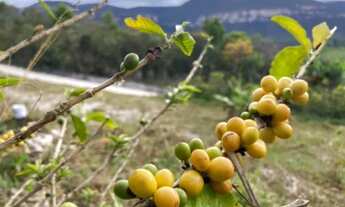 Imagem 4: Sítio Chapada Diamantina