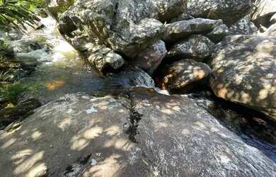 Imagem 4: Vendo Chácara de 10.000m² Rio