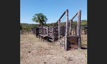 Imagem 3: Fazenda de 30 Alqueires- Colinas do Sul/Goiás