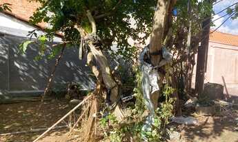 Imagem 4: Casa de vila térrea para venda tem 250 metros quadrados com 2 quartos