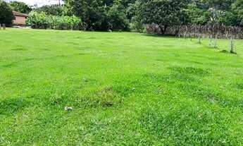 Imagem 6: PA - Vende-se terreno Plano!!!