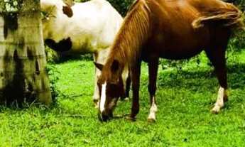 Imagem: Terrenos com ótimo acesso