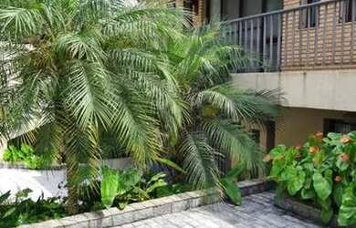 Imagem 5: SãO PAULO - Sobrado Padrão - Barro Branco (Zona Norte