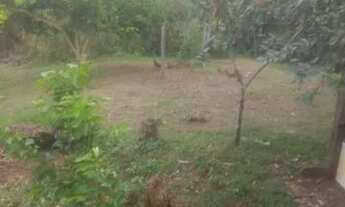 Imagem 5: Chácara no Pirapora troco em uma casa