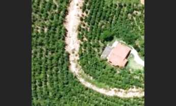 Imagem 2: Chácara perobas ,água .luz,perto patrimônio ,condomínio rural não paga