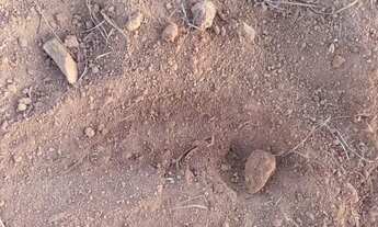 Imagem 2: Fazenda à venda, 3 quartos, Gurupi - Gurupi/TO