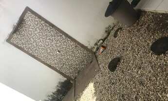 Imagem 4: Morada do sol alugar