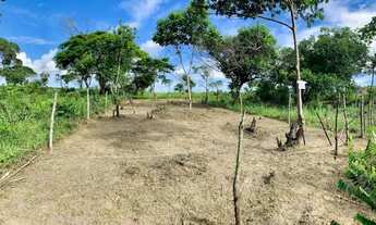 Imagem 2: Tereno 10x 30 Anuncio Real